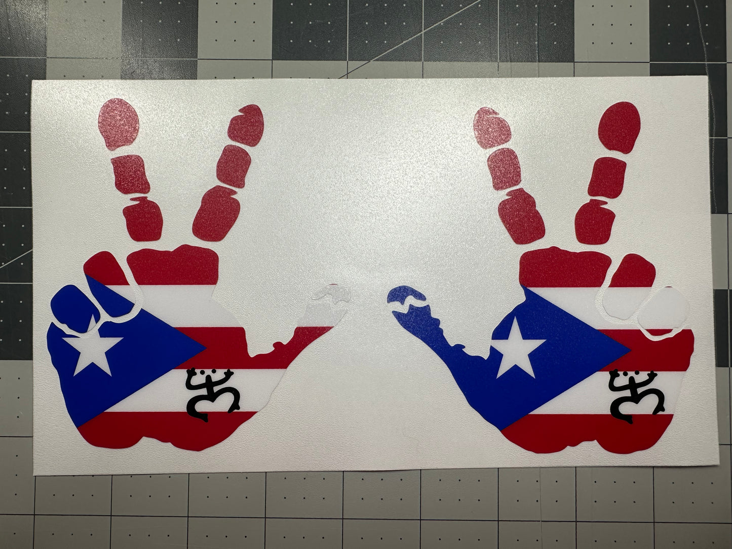 Puerto Rican Flag with Coqui