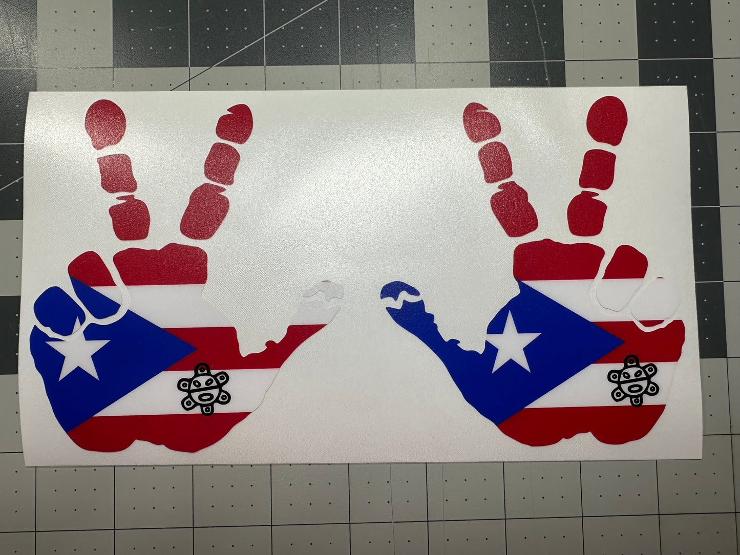Puerto Rican Flag with Taino Sun