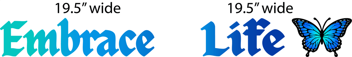 Embrace Life Banner