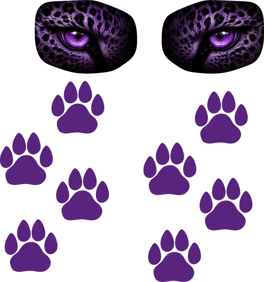 Tricia Custom Leopard Order
