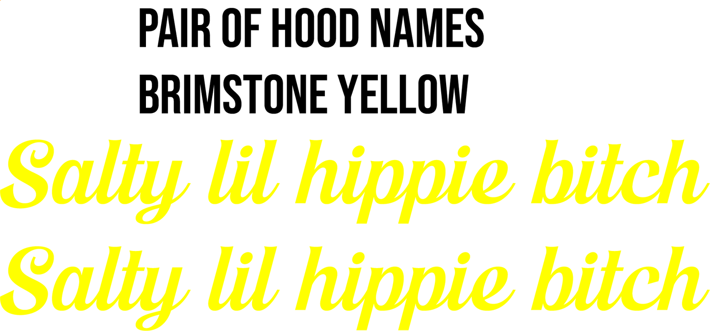 Salty Custom Hood Name- Pair