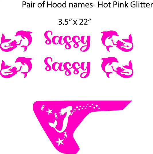 Sassy Custom Order