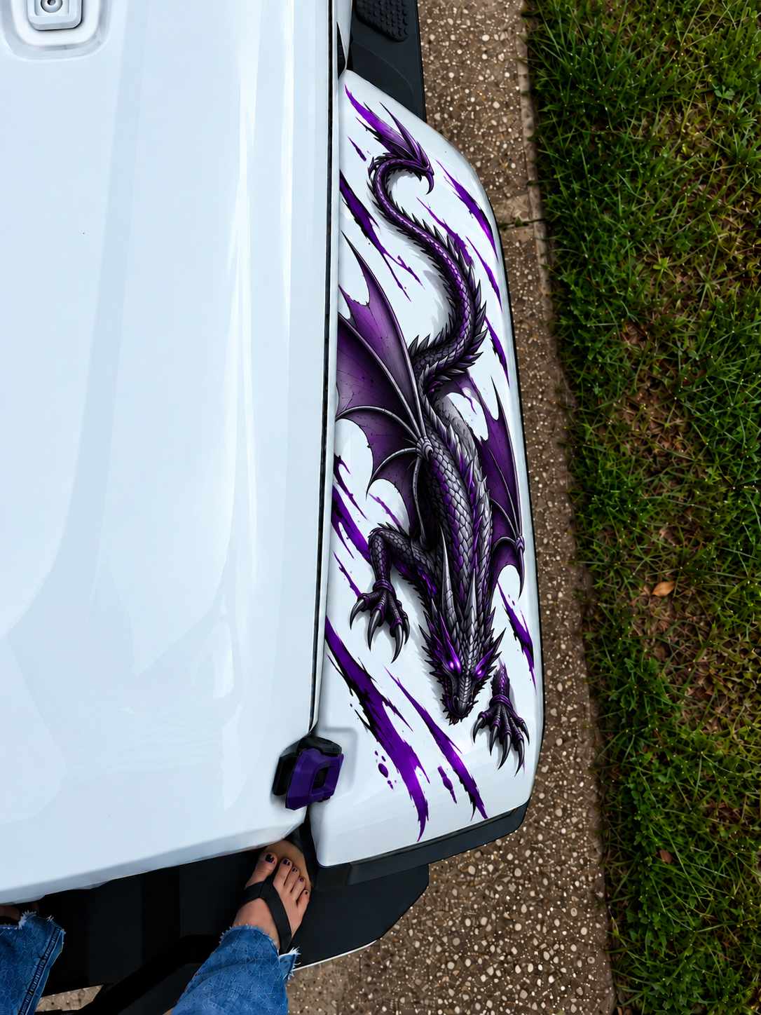 Dragon Top Fender Pair