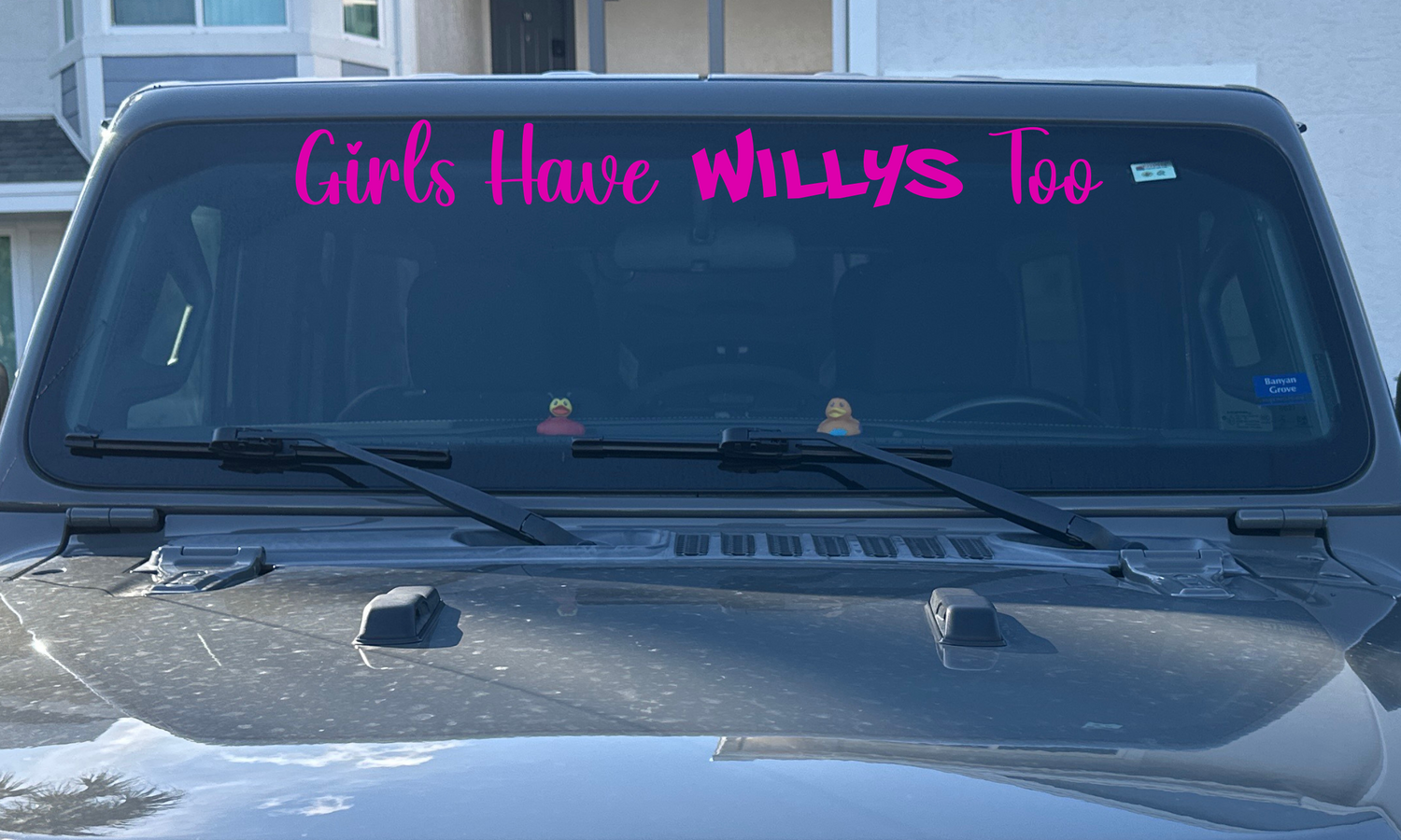 Windshield Banners