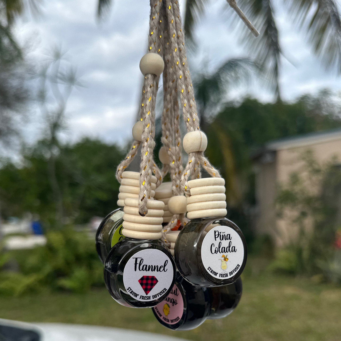 Hanging Car Diffuser- Circle Style