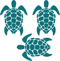 3 Sea turtles