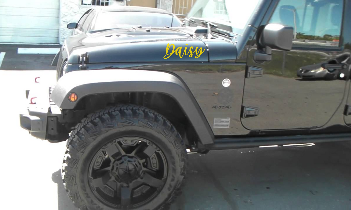 Custom Hood Name Single Color- Set of 2