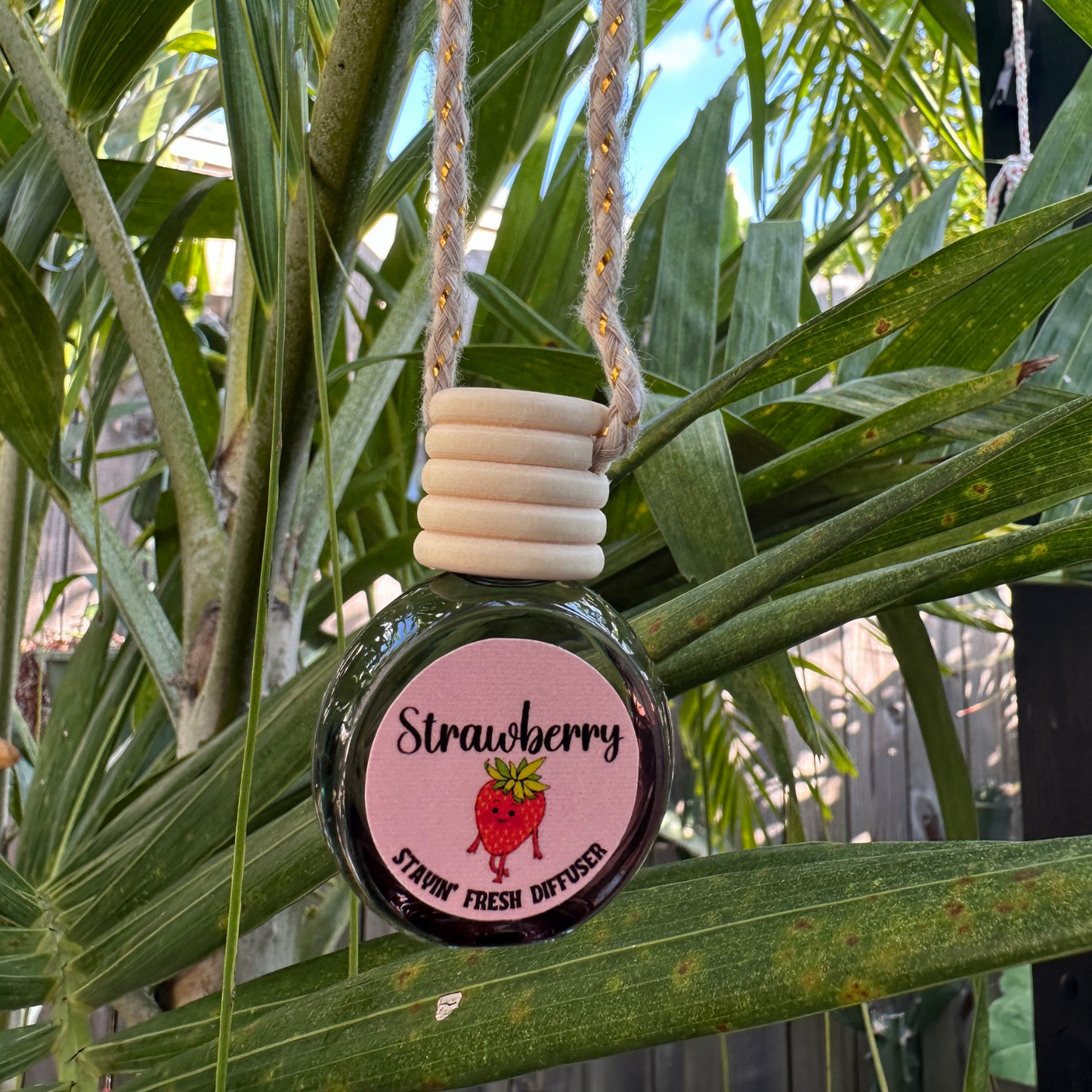 Hanging Car Diffuser- Circle Style