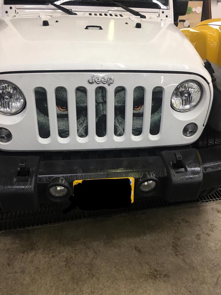 Always Watching Grille Insert