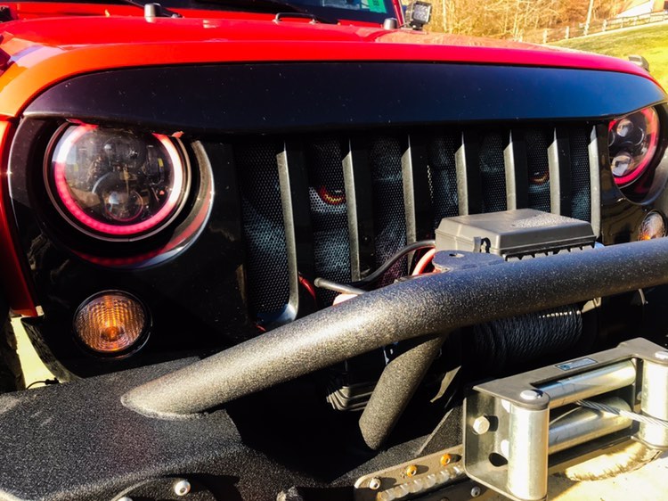 Always Watching Grille Insert