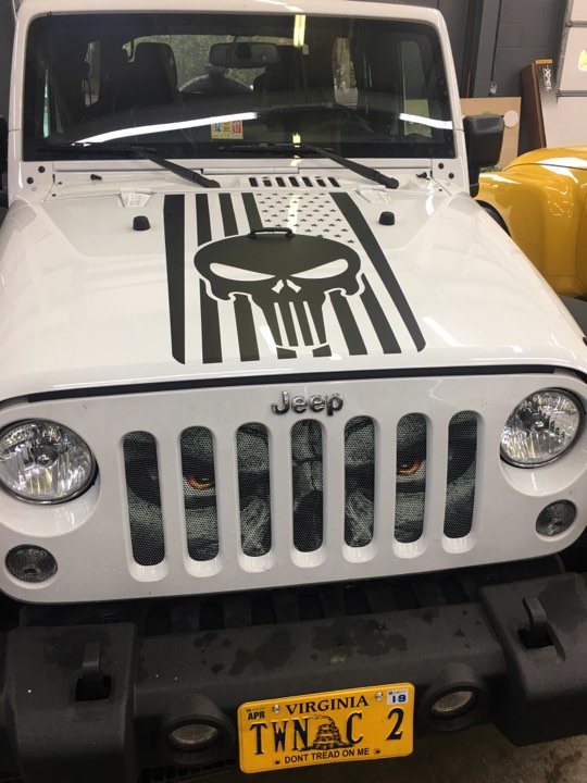 Always Watching Grille Insert