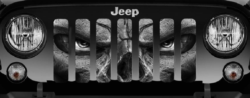 Always Watching (Gray Eyes) Grille Insert