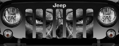 Always Watching (Gray Eyes) Grille Insert