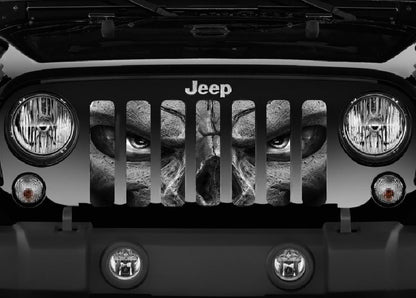 Always Watching (Gray Eyes) Grille Insert