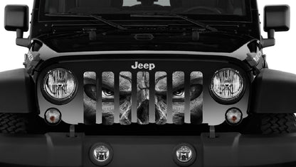 Always Watching (Gray Eyes) Grille Insert