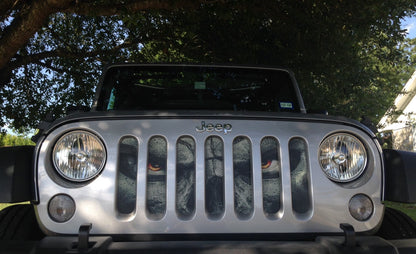 Always Watching Grille Insert