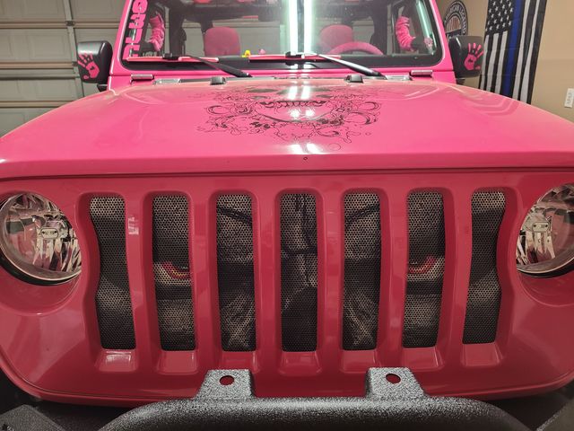 Always Watching (PINK Eyes) Grille Insert