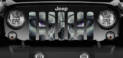 Always Watching (PURPLE Eyes) Grille Insert