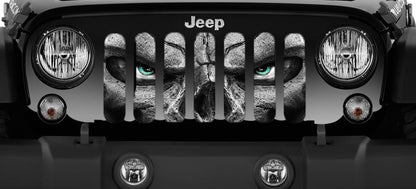 Always Watching (TEAL BLUE Eyes) Grille Insert