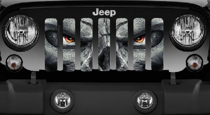 Always Watching Grille Insert