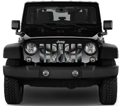 Always Watching Grille Insert