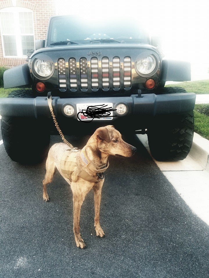 American Black and White Back the Blue and Red Grille Insert