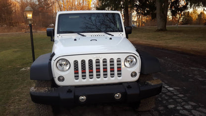 American Black and White Thin Red Line Grille Insert