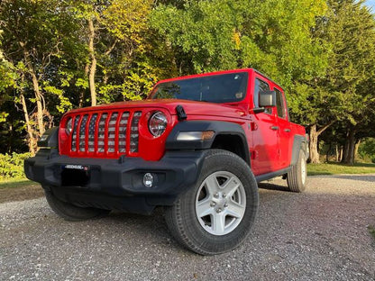 Dirty Grace Grille Insert