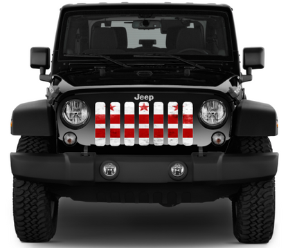 District of Columbia DC Grunge State Flag Grille Insert