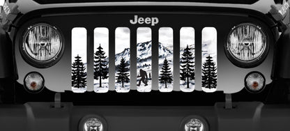 FisherFoot Colorado Bigfoot Grille Insert