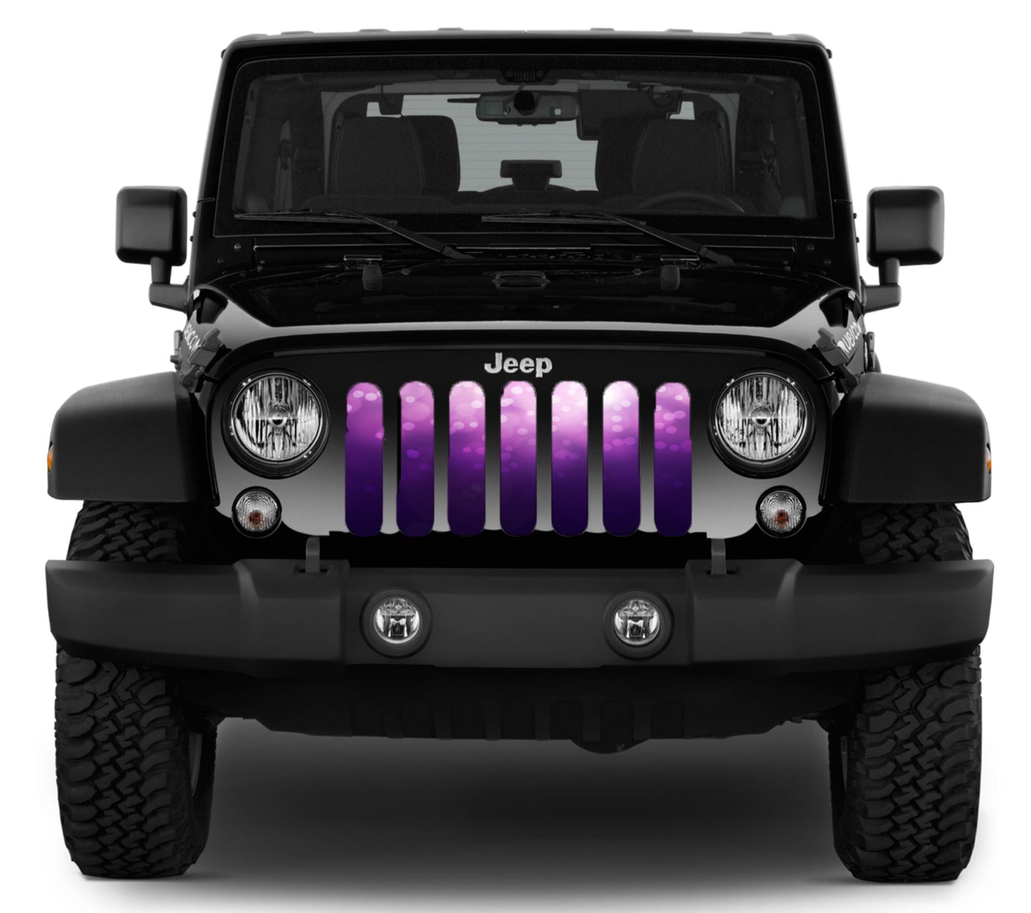 Ladies Night Purple & Pink Ombre Grille Insert
