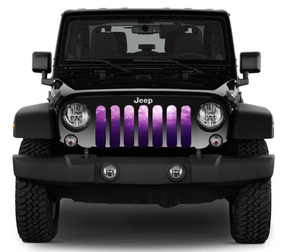 Ladies Night Purple & Pink Ombre Grille Insert