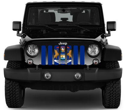 Michigan State Flag Grille Insert