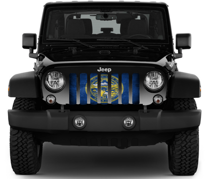 Nebraska Grunge State Flag Grille Insert