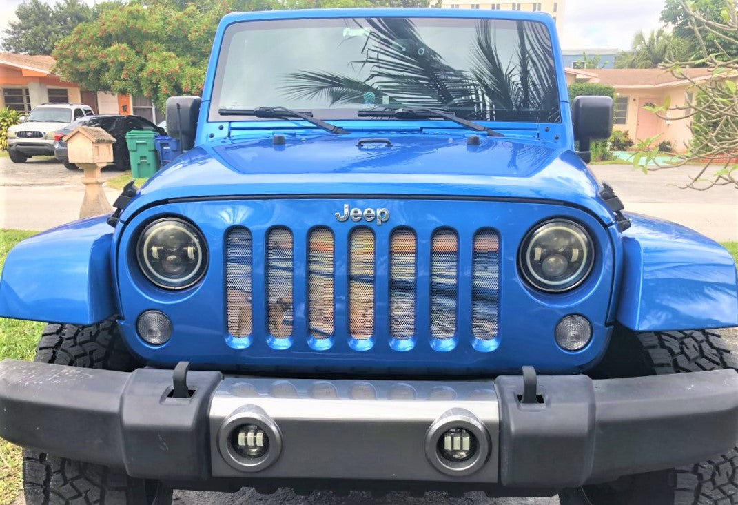 Palau Summer Beach Grille Insert