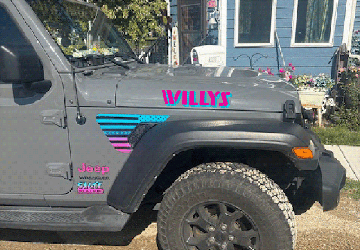Pink Blue Dropshadow Willys