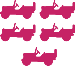 5 Pack Pink Silhouette