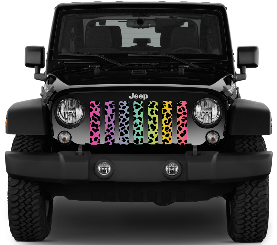 Rainbow Cheetah Print Grille Insert