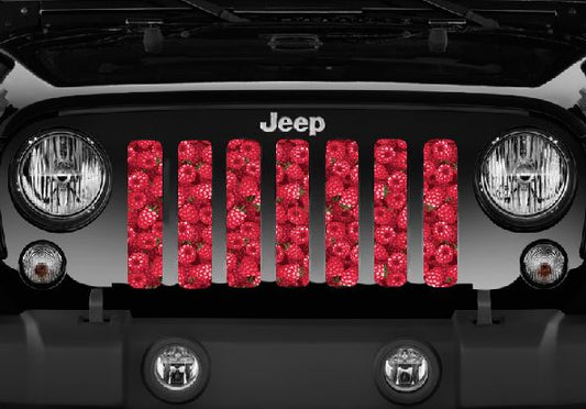 Raspberry Fields Grille Insert