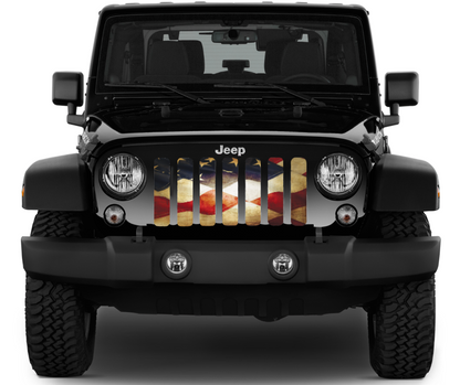 Rustic Grace Grille Insert