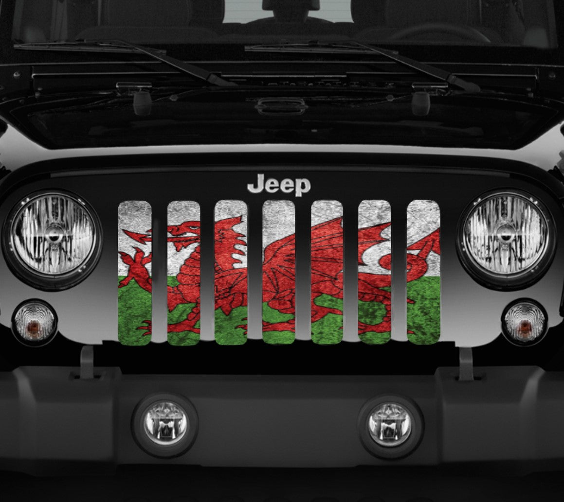 Rustic Welsh Dragon Flag Grille Insert