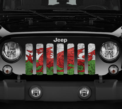 Rustic Welsh Dragon Flag Grille Insert