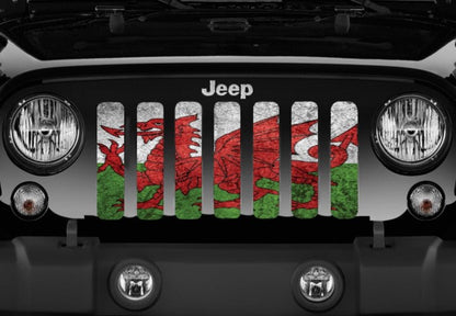 Rustic Welsh Dragon Flag Grille Insert