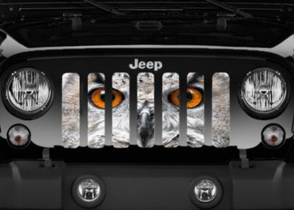 Night Owl Grille Insert