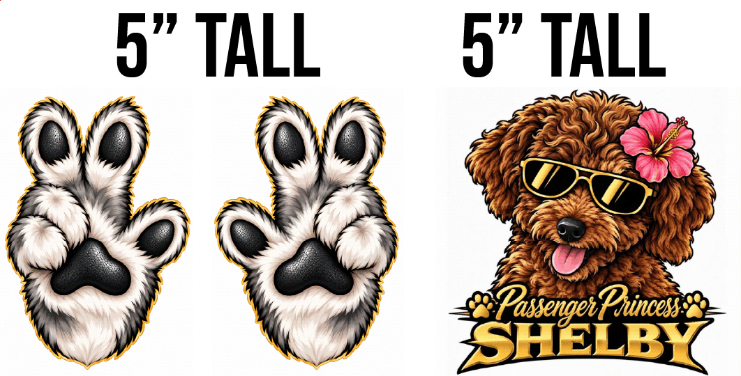 Shelby and Paw Waves