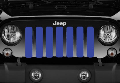 Solid Blue Grille Insert