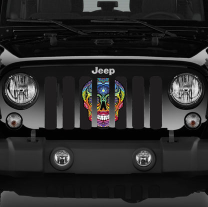 Sugar Skull Rainbow Grille Insert