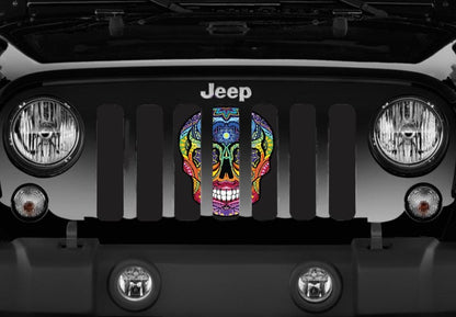 Platinum Sugar Skull Rainbow Grille Insert