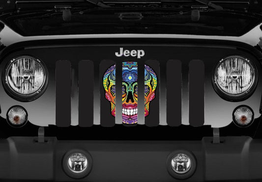 Platinum Sugar Skull Rainbow Grille Insert