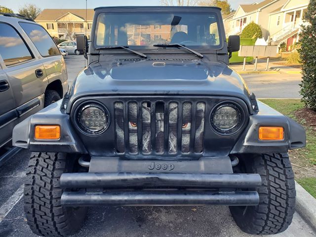 Always Watching Grille Insert